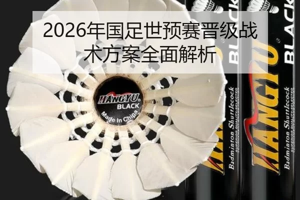 2026年国足世预赛晋级战术方案全面解析